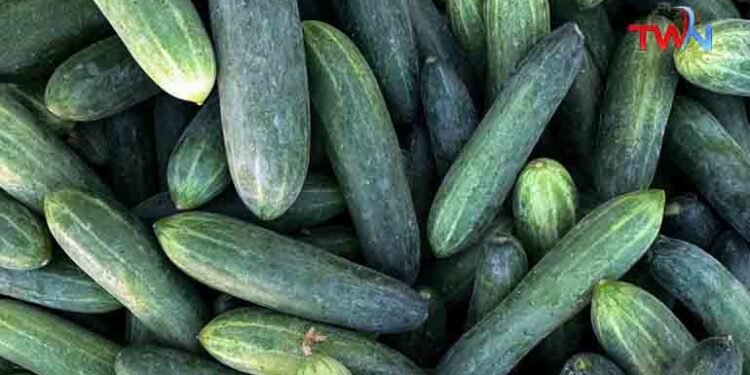 Benefits of eating cucumber in Summer,Health Tips,Health Benefits of Cucumber,Kheera,benefits of having cucumber,Telugu World Now