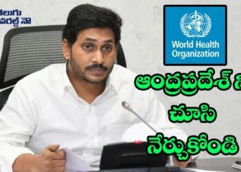 AP Poltical News, World Health Organization, Covid News, AP Government, AP Rules on Corona, Village Volunteers, CM Jagan,v9 news telugu,teluguworldnow.com,