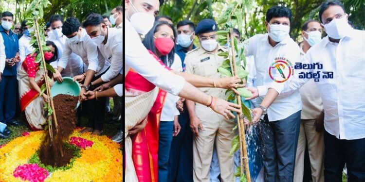 ghmc mayor Gadwal Vijayalakshmi birthday, mp joginapally santhosh kumar,telangana politics,telangana news,v9 news telugu,teluguworldnow.com,green india challenge,