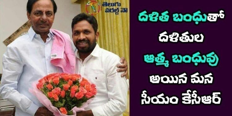 dalitha bhandhu scheme,cm kcr,dr errolla srinivas,telangana poltical news,ts government schems,v9 news telugu,teluguworldnow.com,