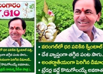 1 quintal Cotton Highest Rate in Warangal,Telangana Agriculture Univercity, Cotton Corporation of india,CCI,Telangana News,v9 news telugu,telugu golden tv,teluguworldnow.com,
