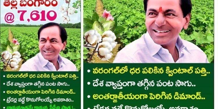 1 quintal Cotton Highest Rate in Warangal,Telangana Agriculture Univercity, Cotton Corporation of india,CCI,Telangana News,v9 news telugu,telugu golden tv,teluguworldnow.com,