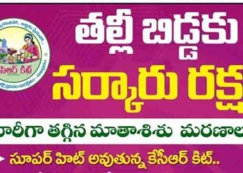 50% Pregnant Deliverys in Telangana State,Good Results For TS Government Schemes,CM KCR,KCR Kit,Telangana Political News,v9 news telugu,telugu golden tv,my mix entertainments,www.teluguworldnow.com