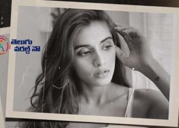 Divyansha Kaushik On Board For Sundeep Kishan,Vijay Sethupathi,Ranjit Jeyakodi,Pan India Film Michael,telugu golden tv,my mix entertainments,teluguworldnow.com