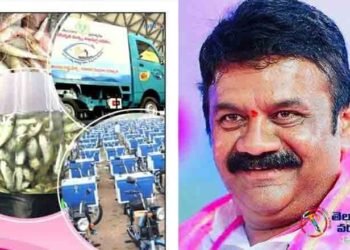 Free fish baby distribution program,State for AnimTelangana al Husbandary, Fisheries,CM KCR,Talasani Srinivas Yadav,Telangana News,telugu golden tv,my mix entertainments,teluguworldnow.com