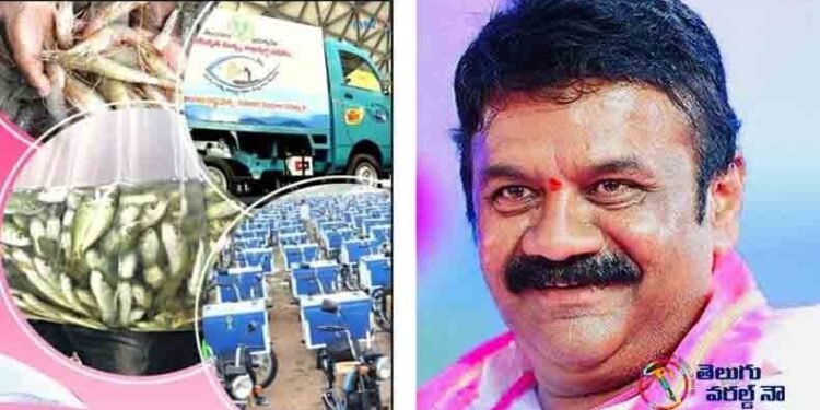 Free fish baby distribution program,State for AnimTelangana al Husbandary, Fisheries,CM KCR,Talasani Srinivas Yadav,Telangana News,telugu golden tv,my mix entertainments,teluguworldnow.com