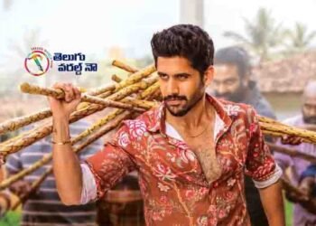 Bangaraju Movie is like full meals in Sankranthi , Akkineni Naga Chaitanya,Akkineni Nagarjuna,Krithy Shetty,Kalyan Krishna,telugu golden tv,my mix entertainments,teluguworldnow.com
