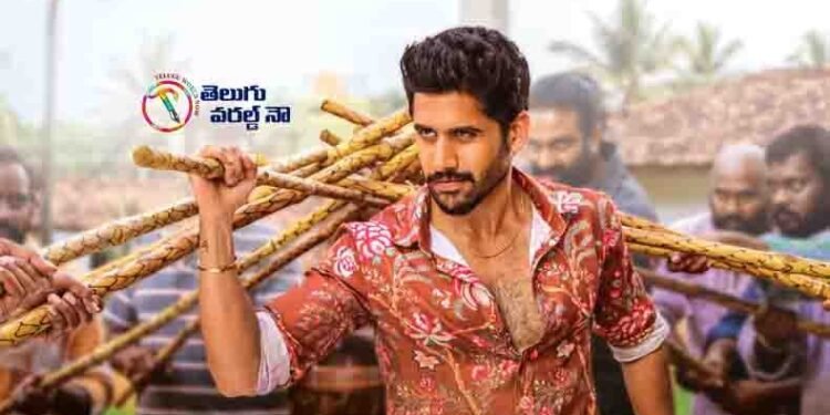 Bangaraju Movie is like full meals in Sankranthi , Akkineni Naga Chaitanya,Akkineni Nagarjuna,Krithy Shetty,Kalyan Krishna,telugu golden tv,my mix entertainments,teluguworldnow.com