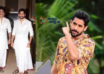 Bangaraju will be surprised to see Naga consciousness in the movie,Nagarjuna,Krithy Shetty,telugu golden tv,my mix entertainments,teluguworldnow.com.1