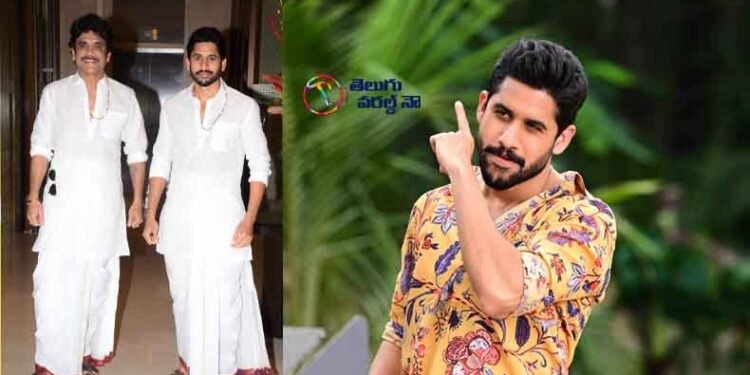 Bangaraju will be surprised to see Naga consciousness in the movie,Nagarjuna,Krithy Shetty,telugu golden tv,my mix entertainments,teluguworldnow.com.1