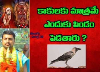 Why embryos are laid only for crows, Bramhasri sukesh sharma,Yajna Vedic scholars,today horoscopes, astrology consultant,my mix entertainments,teluguworldnow.com,telugu golden tv, Zodiac Signs, Numerology & More