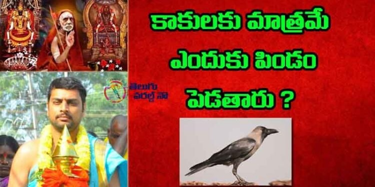 Why embryos are laid only for crows, Bramhasri sukesh sharma,Yajna Vedic scholars,today horoscopes, astrology consultant,my mix entertainments,teluguworldnow.com,telugu golden tv, Zodiac Signs, Numerology & More