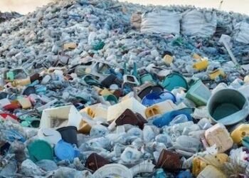 A Brief Study on Indian Waste Management Process , Problems In Collection Of Garbage, Workers Health Issues ,Telugu World Now