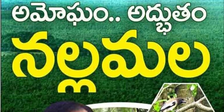 MP Santosh Kumar tweeted congratulating the state forest department,Green India Challenge,cm kcr,telangana news,telugu golden tv,my mix entertainments,www.teluguworldnow.com,v9 news telugu