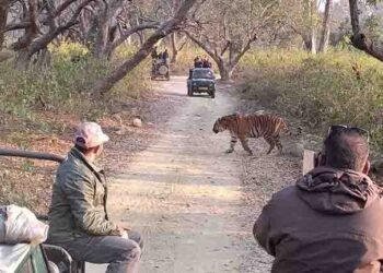 Rajaji National Park in Haridwar,Best National Park in Uttarakhand in India,www.teluguworldnow.com,telugu golden tv,my mix entertainments