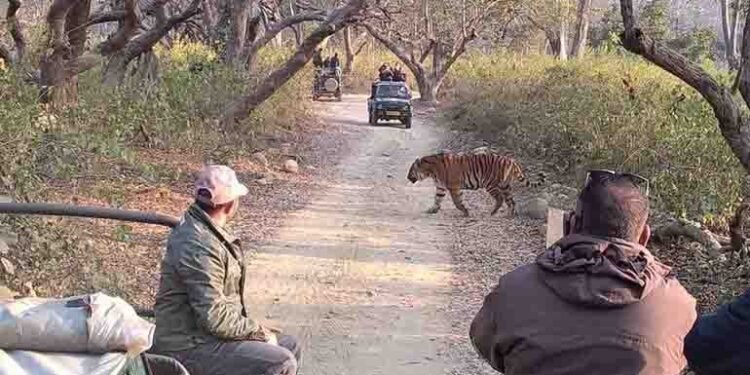 Rajaji National Park in Haridwar,Best National Park in Uttarakhand in India,www.teluguworldnow.com,telugu golden tv,my mix entertainments