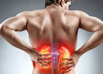 Benefits of good health for kidney