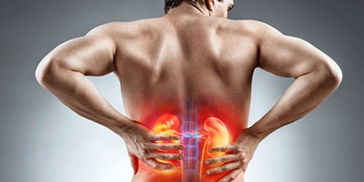 Benefits of good health for kidney