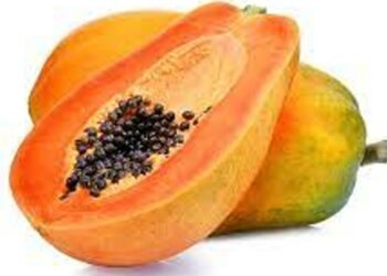 Health benefits about eating papaya fruit daily