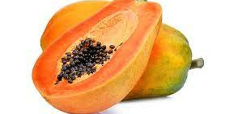 Health benefits about eating papaya fruit daily