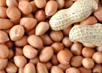 వేరుశెనగలో ఉన్న పోషక విలువలు తెలుసా.?