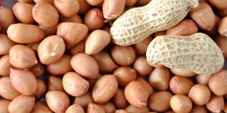 వేరుశెనగలో ఉన్న పోషక విలువలు తెలుసా.?