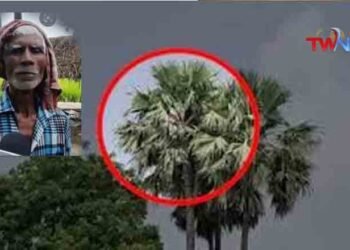 Wife used to fight with Rampravesh all the time. She used to get angry and lash out. Unable to bear this, Rampravesh sat on a hundred feet long palm tree,telugu golden tv,www.teluguworldnow.com