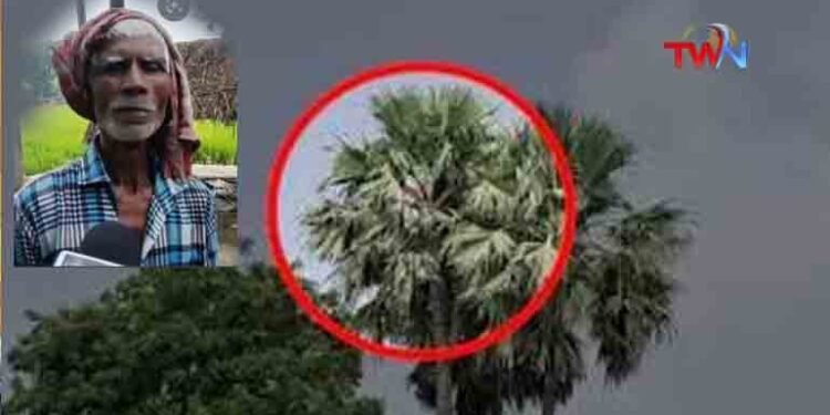 Wife used to fight with Rampravesh all the time. She used to get angry and lash out. Unable to bear this, Rampravesh sat on a hundred feet long palm tree,telugu golden tv,www.teluguworldnow.com