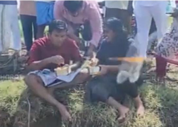 Viral News : వరి నాట్లు వేస్తున కలెక్టర్ భార్య భర్తలు..