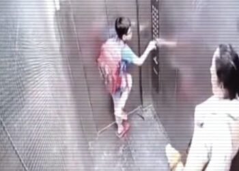 Viral Video చిన్నారిపై పెంపుడు కుక్క దాడి.. మానవత్వాన్ని మరిచిన యజమాని