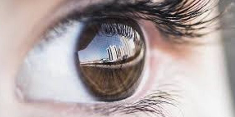 Health News : కళ్ల అలసటకు ఐ యోగా… ఇలా చేస్తే అలసట దూరం!