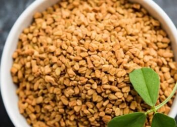 Health మెంతి గింజలతో మధుమేహానికి చెక్….