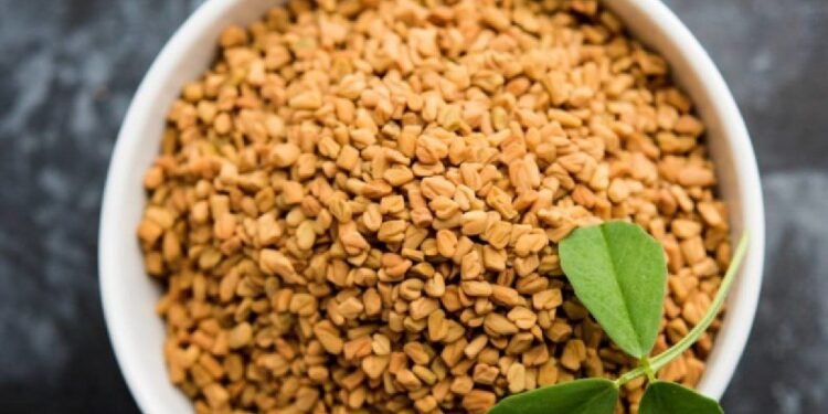 Health మెంతి గింజలతో మధుమేహానికి చెక్….