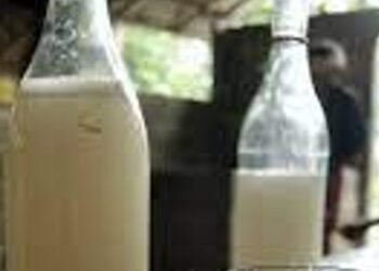 Crime ఎన్నికల్లో పంచిన మద్యం తాగి ఐదుగురి మృతి!