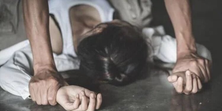 Crime News : నిర్భయ ఘటన తలపించేలా మరో అమానుషం.. కదులుతున్న రైలులో మహిళపై అత్యాచారం..