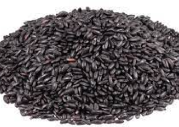 Health బ్లాక్ రైస్ భోజనంలో భాగం చేసుకుంటున్నారా.. అయితే కచ్చితంగా ఈ విషయాలు తెలుసుకోవాలి..