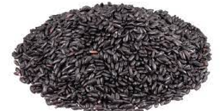 Health బ్లాక్ రైస్ భోజనంలో భాగం చేసుకుంటున్నారా.. అయితే కచ్చితంగా ఈ విషయాలు తెలుసుకోవాలి..