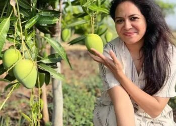 Entertainment ఆ విషయం తప్ప ఏదైనా మాట్లాడండి : సింగర్ సునీత