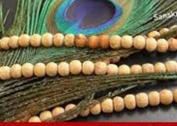 Bhakthi కృష్ణుని తులసిమాలలో ఉండే విశిష్టత ఇదే..