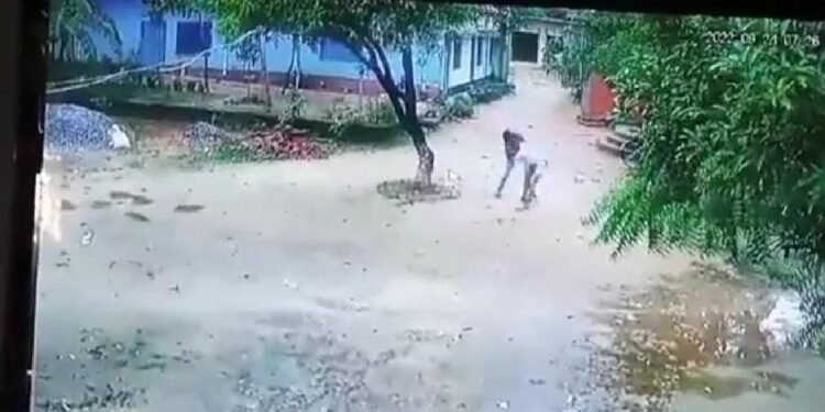 Crime నాటు తుపాకీతో ఉపాధ్యాయుడిపై విద్యార్థి కాల్పులు..  ఆ తర్వాత..