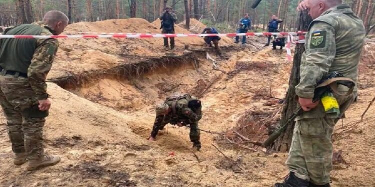 Crime అటవీ ప్రాంతంలో అనుమానాస్పద గొయ్యి.. దగ్గరకెళ్లి చూస్తే నిండా మృతదేహాలే..