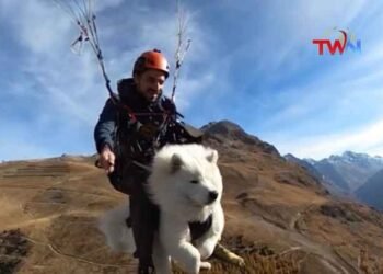 A Man Was Surprised by Paragliding with His Pet Dog,Netizens Comments,Viral Video,Telugu Golden TV,v9 news telugu,,My Mix Entertainments,telugu world news,www.teluguworldnow.com