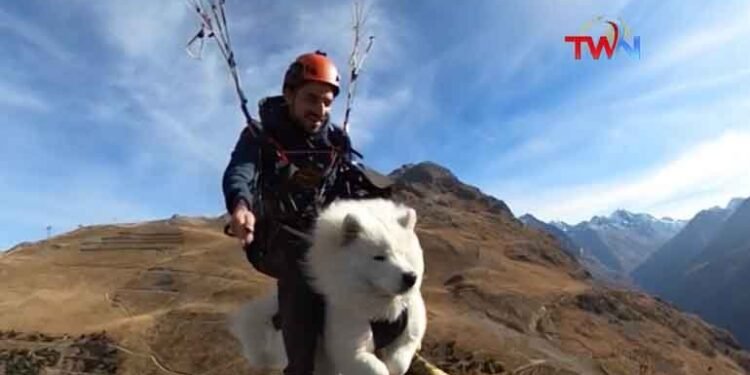 A Man Was Surprised by Paragliding with His Pet Dog,Netizens Comments,Viral Video,Telugu Golden TV,v9 news telugu,,My Mix Entertainments,telugu world news,www.teluguworldnow.com