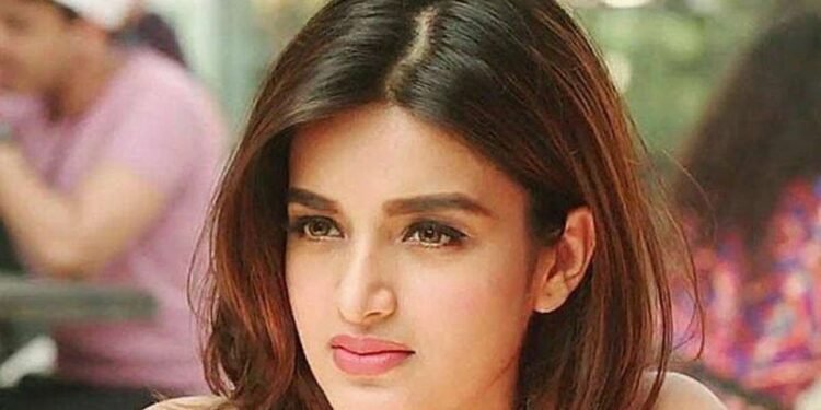 Movie ఇండస్ట్రీలో నిలబడాలి అని అంటే టాలెంట్ ఒక్కటే చాలదు : నిధి అగర్వాల్