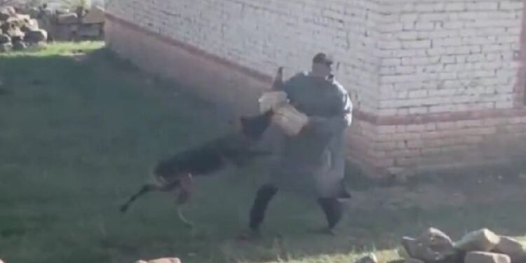 Viral Video : ఉగ్రవాదులను మట్టుపెట్టడంలో తన ప్రాణాలు సైతం లెక్కచేయకుండా సింహంలా వారి పైకి దూసుకెళ్లిన ఓ జాగిలం.. వైరల్ అవుతున్న వీడియో..