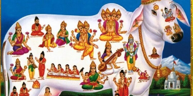 Bhakthi ఈ ఒక్క ఫోటోని తీసుకొచ్చి ఇంట్లో దేవుడు గదిలో ఉంచండి..  ఎలాంటి అప్పులు అయినా తీరిపోతాయి..
