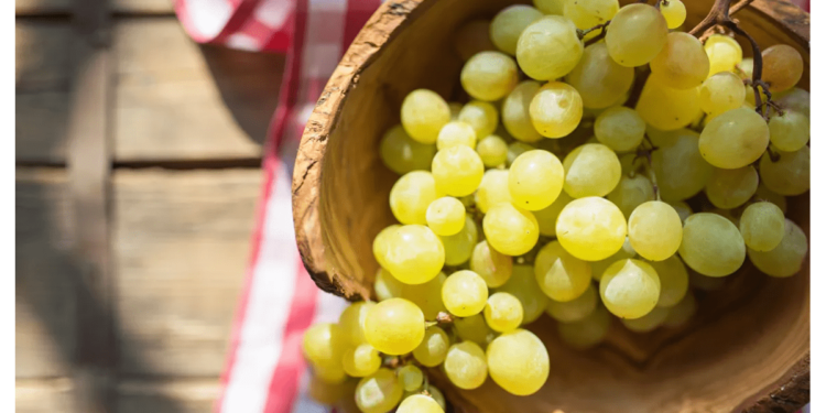 Health : ఈ ప్రయోజనాలు తెలిస్తే ద్రాక్ష పళ్ళతో పాటు గింజలను కూడా వదలకుండా తినేస్తారు..