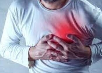 Health హార్ట్ ఎటాక్.. కార్డియాట్రిక్అరెస్ట్..  హార్ట్ స్ట్రోక్ వేటి మధ్య తేడాలు ఏంటో తెలుసా..