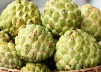 Health సీతాఫలం తింటే ఆ సమస్యలు రావంట..