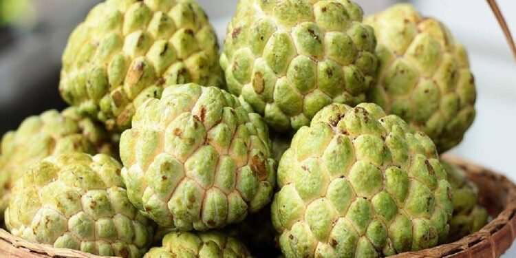 Health సీతాఫలం తింటే ఆ సమస్యలు రావంట..